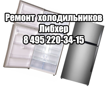 Ремонт холодильника Ремонт холодильника Либхер